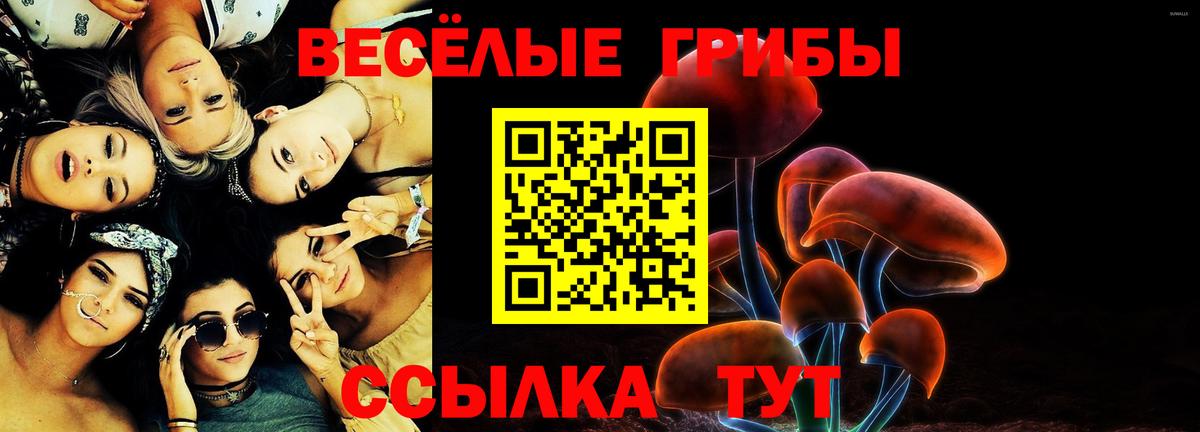 Галлюциногенные грибы Psilocybine cubensis  Вход с VPN  Нефтекумск 